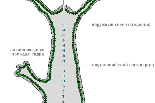 Кракен рабочая ссылка 2024