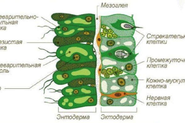 Маркетплейс кракен